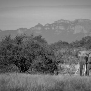 At the feet of Giants